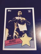 GOLDUST 2015 WWE Topps Authentic Event Used Shirt Relic (FREE SHIPPING)