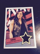 TAMINA SNUKA 2015 WWE Topps Authentic Event Used Shirt Relic (FREE SHIPPING)