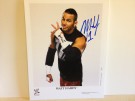 Matt Hardy Signed 8x10 Color Photo (100% Authentic) Comes w/Certificate of Authenticity