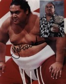 Yokozuna Signed 8x10 Color Photo (100% Authentic) Comes w/Certificate of Authenticity