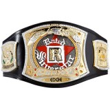 WWE Rated-R Spinning Championship Adult Size Replica Belt